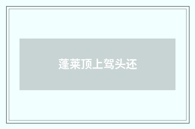 蓬莱顶上驾头还
