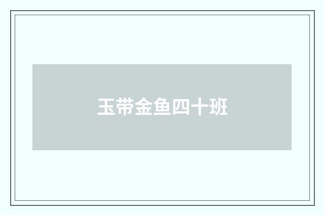 玉带金鱼四十班