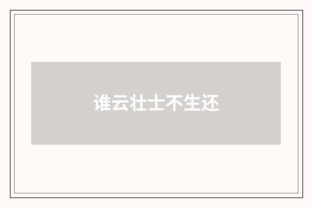 谁云壮士不生还