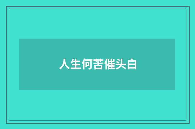 人生何苦催头白