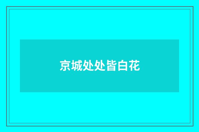 京城处处皆白花