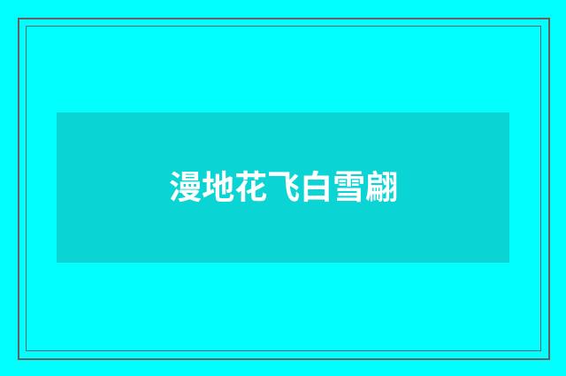 漫地花飞白雪翩