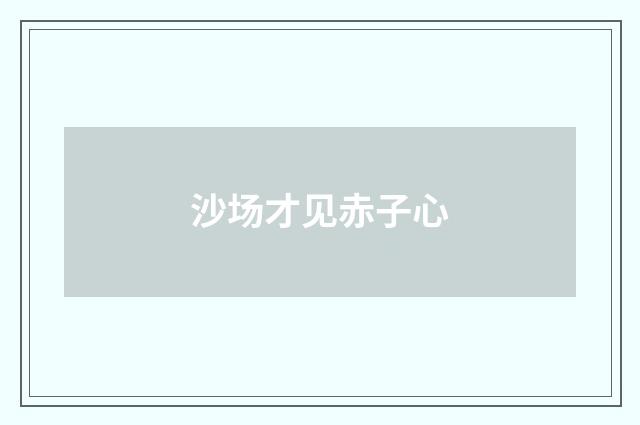 沙场才见赤子心