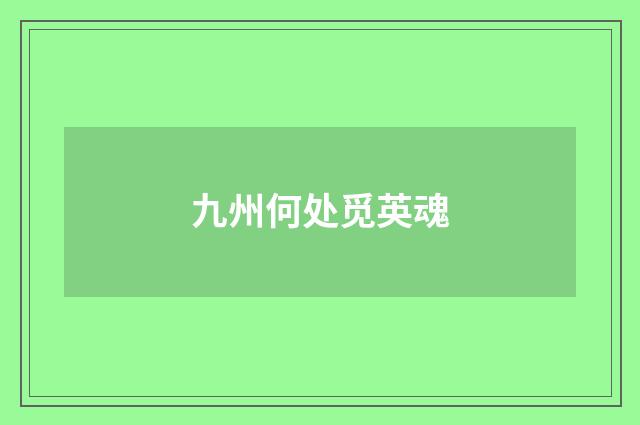九州何处觅英魂