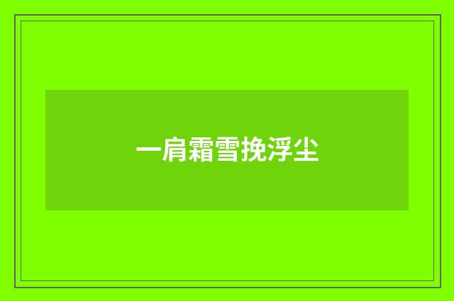 一肩霜雪挽浮尘