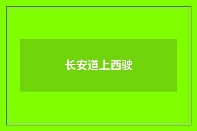 长安道上西驶