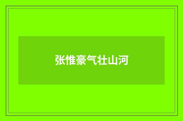 张惟豪气壮山河