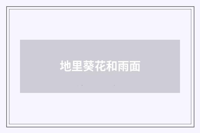 地里葵花和雨面