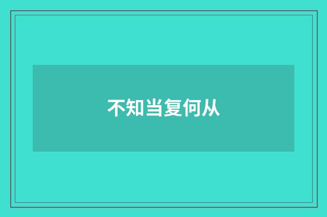 不知当复何从