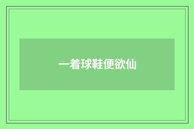 一着球鞋便欲仙