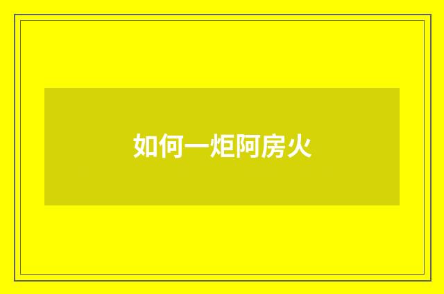 如何一炬阿房火