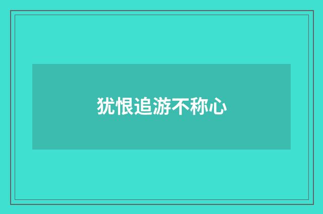 犹恨追游不称心