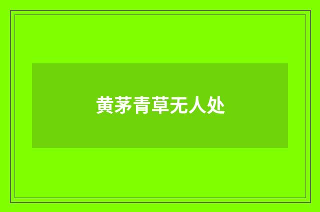黄茅青草无人处