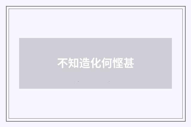 不知造化何悭甚