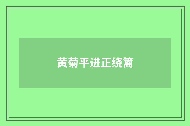 黄菊平进正绕篱