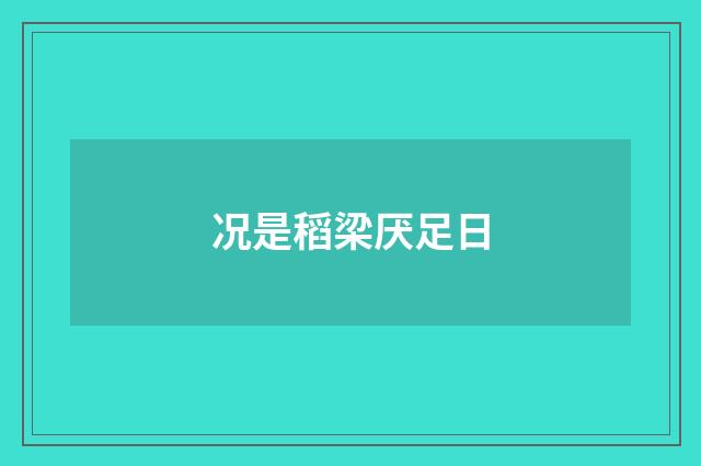 况是稻梁厌足日