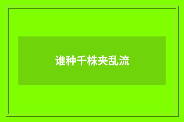谁种千株夹乱流