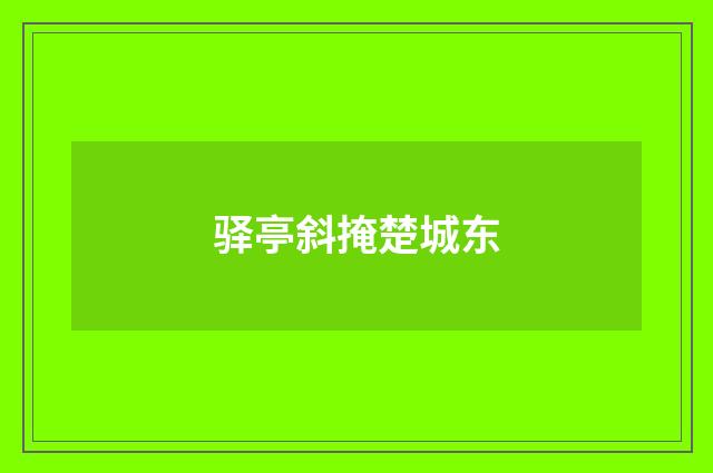 驿亭斜掩楚城东