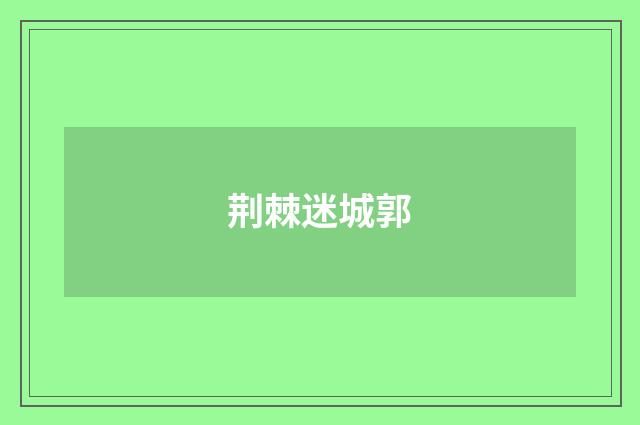 荆棘迷城郭