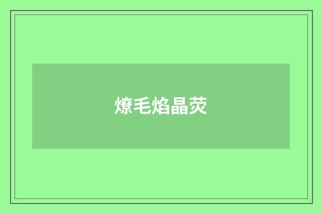燎毛焰晶荧