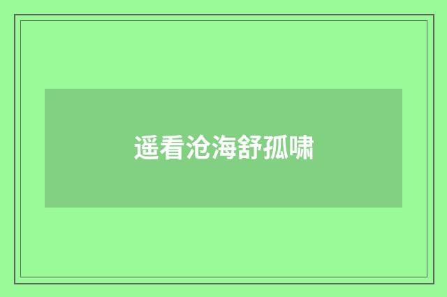 遥看沧海舒孤啸