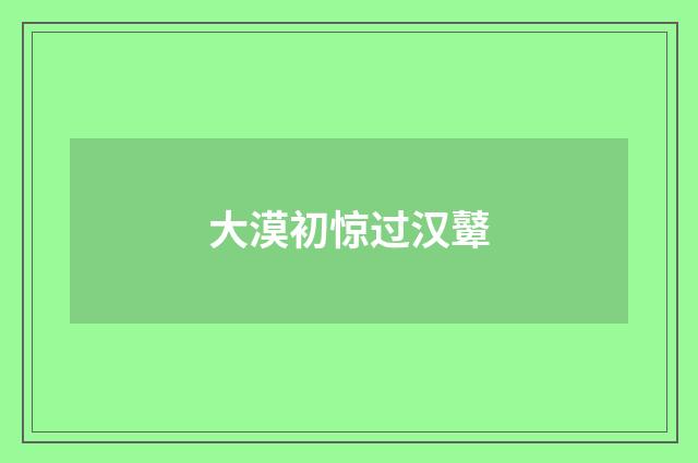 大漠初惊过汉鼙