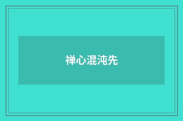 禅心混沌先