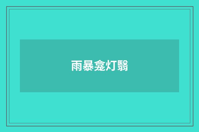 雨暴龛灯翳