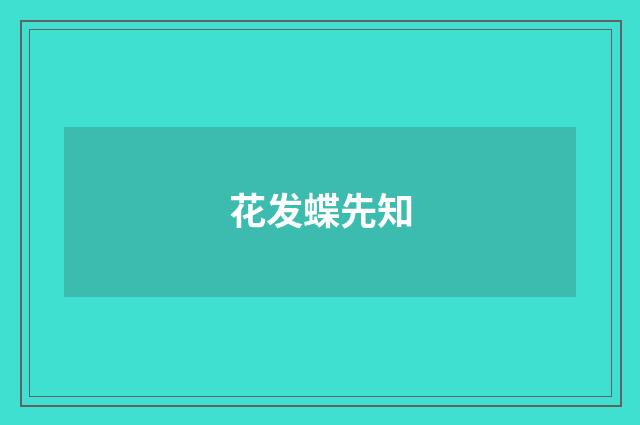 花发蝶先知