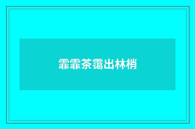 霏霏茶霭出林梢