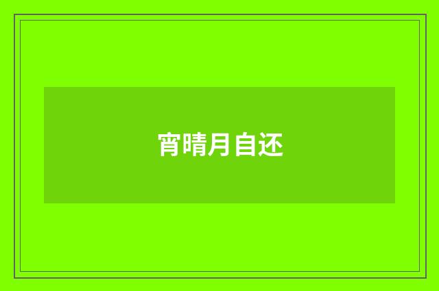 宵晴月自还
