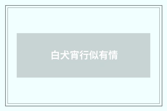 白犬宵行似有情