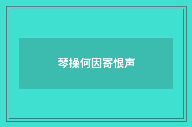 琴操何因寄恨声