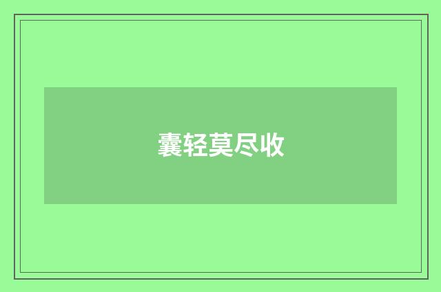 囊轻莫尽收