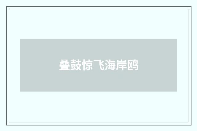 叠鼓惊飞海岸鸥