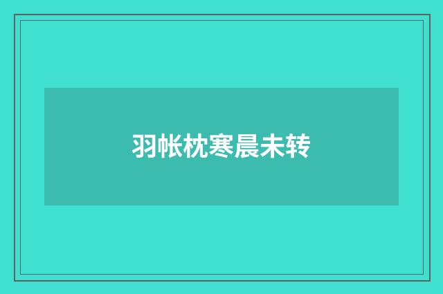 羽帐枕寒晨未转