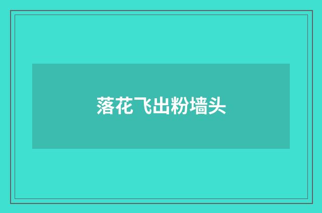 落花飞出粉墙头