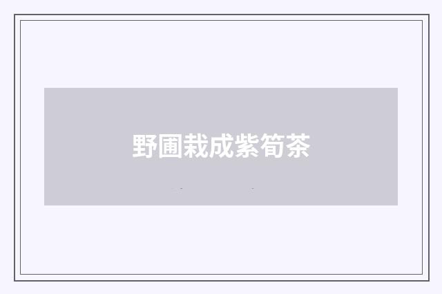 野圃栽成紫筍茶