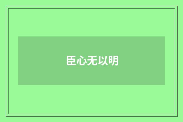 臣心无以明