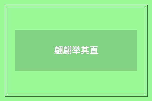 翩翩举其直