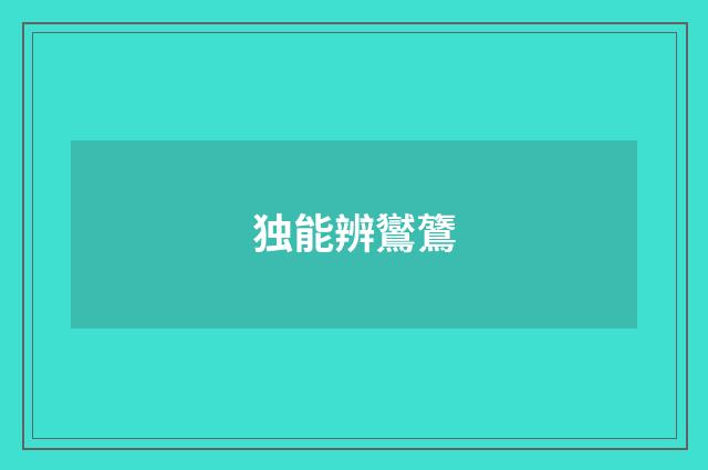 独能辨鸑鷟