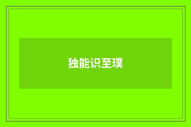独能识至璞