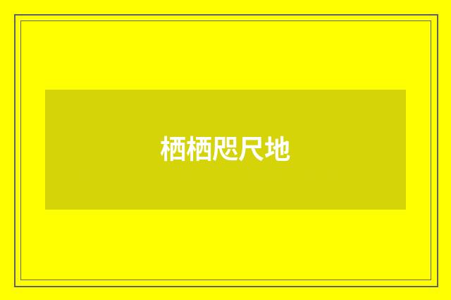 栖栖咫尺地