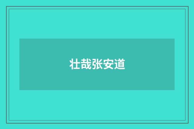 壮哉张安道