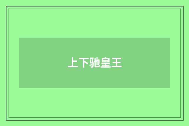 上下驰皇王