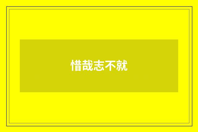惜哉志不就