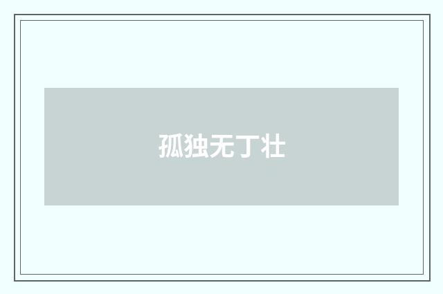 孤独无丁壮