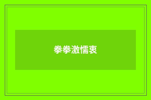 拳拳激懦衷