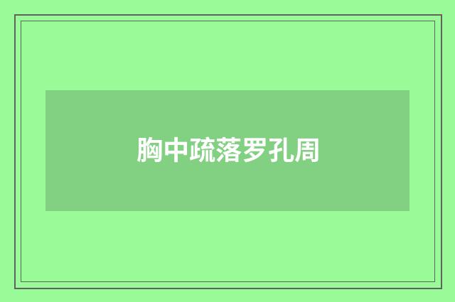 胸中疏落罗孔周