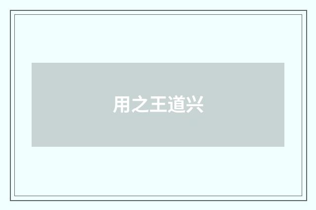 用之王道兴